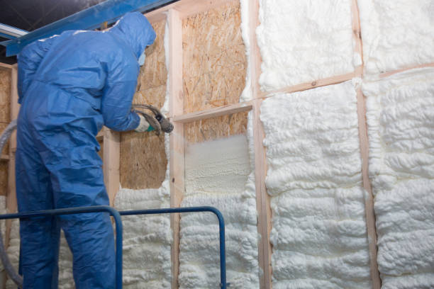 Best Attic Insulation Installation  in Fort Riley, KS